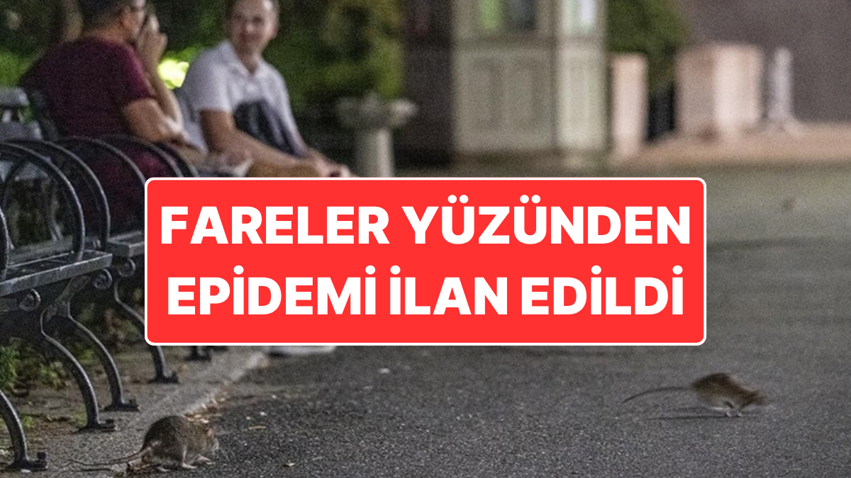 bosna-hersekte-fare-krizi-saraybosnada-epidemi-ilan-edildi-eWP2VkDn.jpg