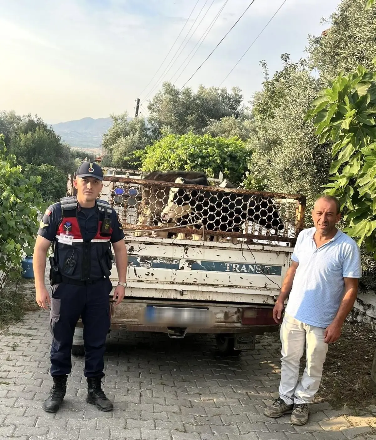 aydinda-calinan-buyukbas-hayvanlar-bulundu-ve-sahibine-teslim-edildi-1KYVbCsh.jpg