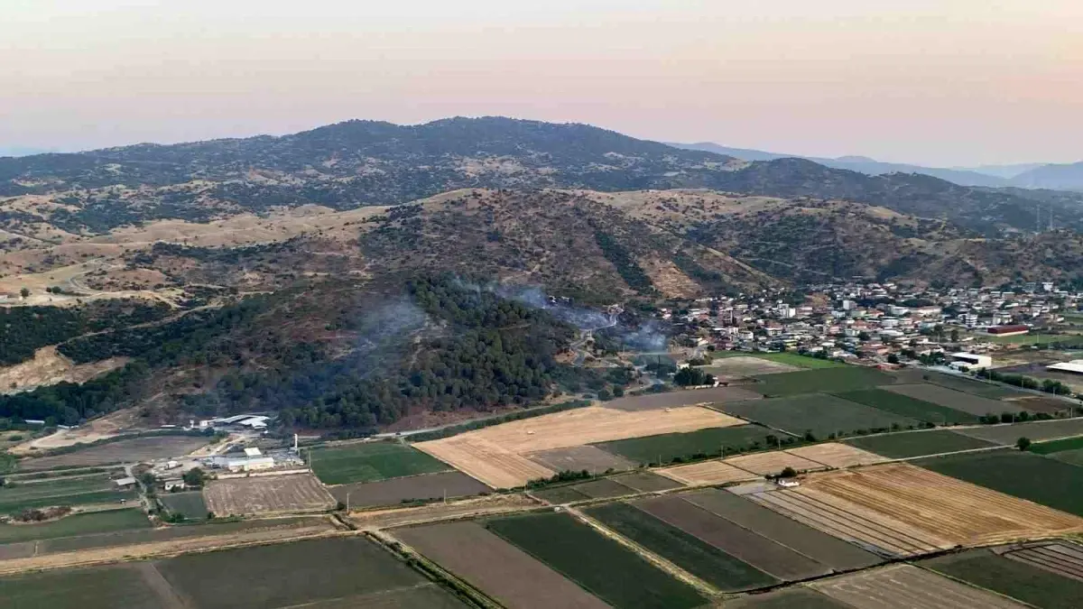 aydinda-fistik-camlari-ormaninda-yangin-denetim-altina-alindi-gT3uMbKR.jpg