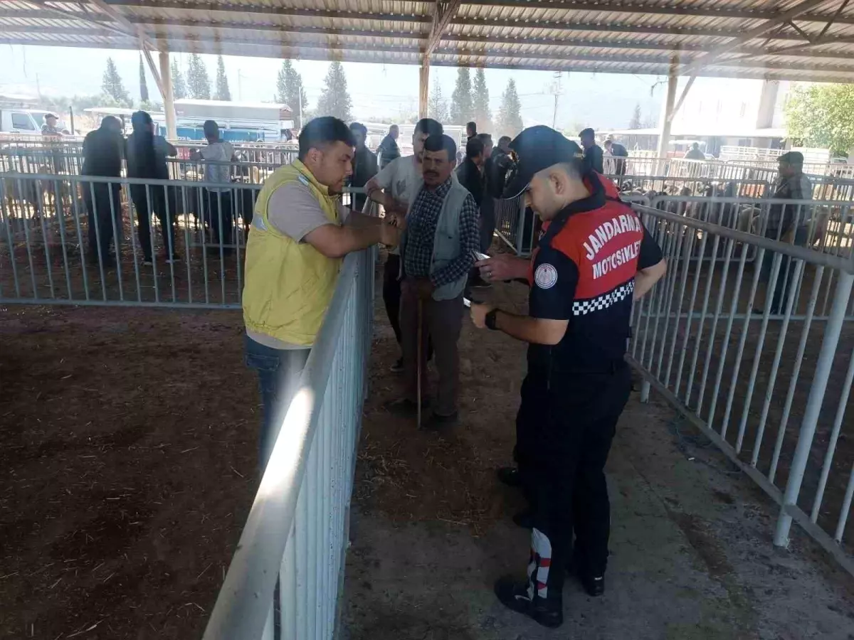 aydinda-kurban-bayrami-oncesi-hayvan-pazarinda-guvenlik-kontrolleri-p6DKjhjZ.jpg
