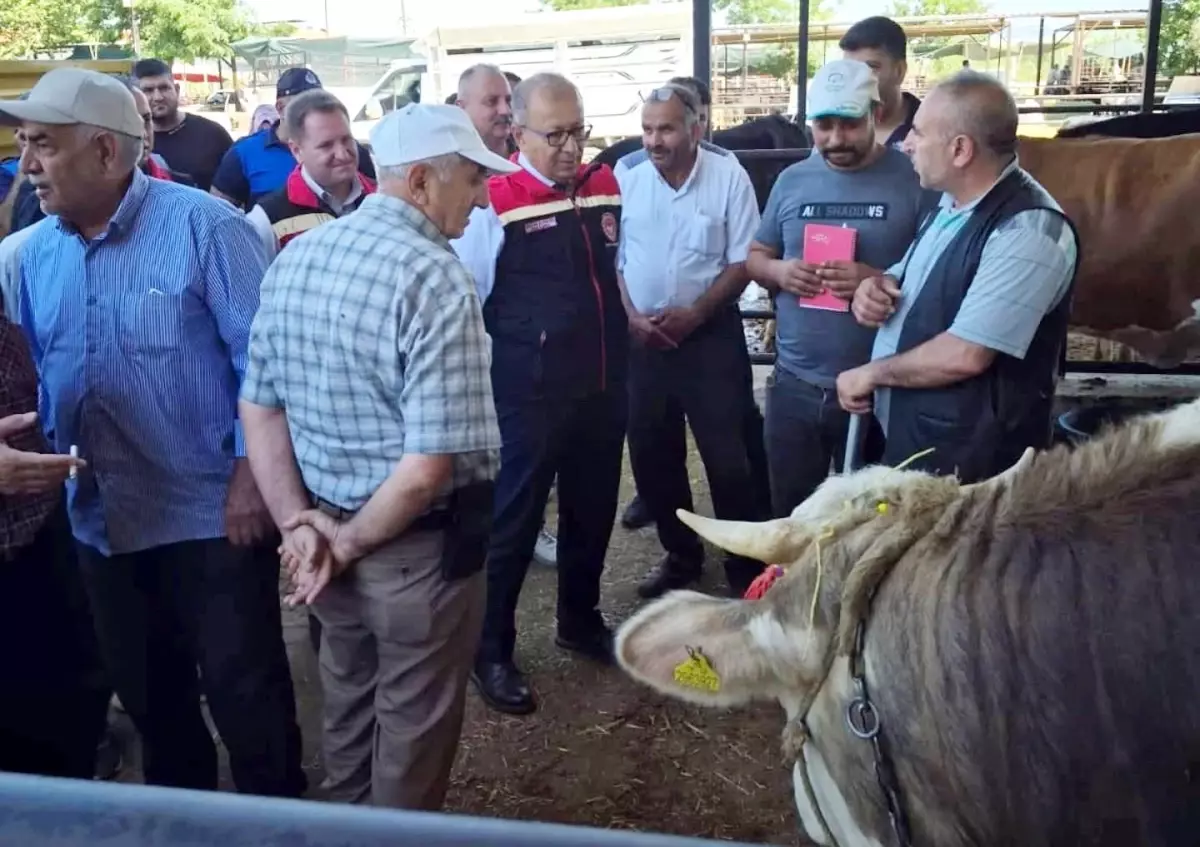 aydinda-kurban-bayrami-oncesi-kontroller-artirildi-ved8yP5g.jpg