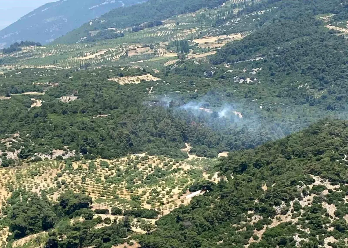 aydinda-orman-yangini-denetim-altina-alindi-kXV2OYfM.jpg