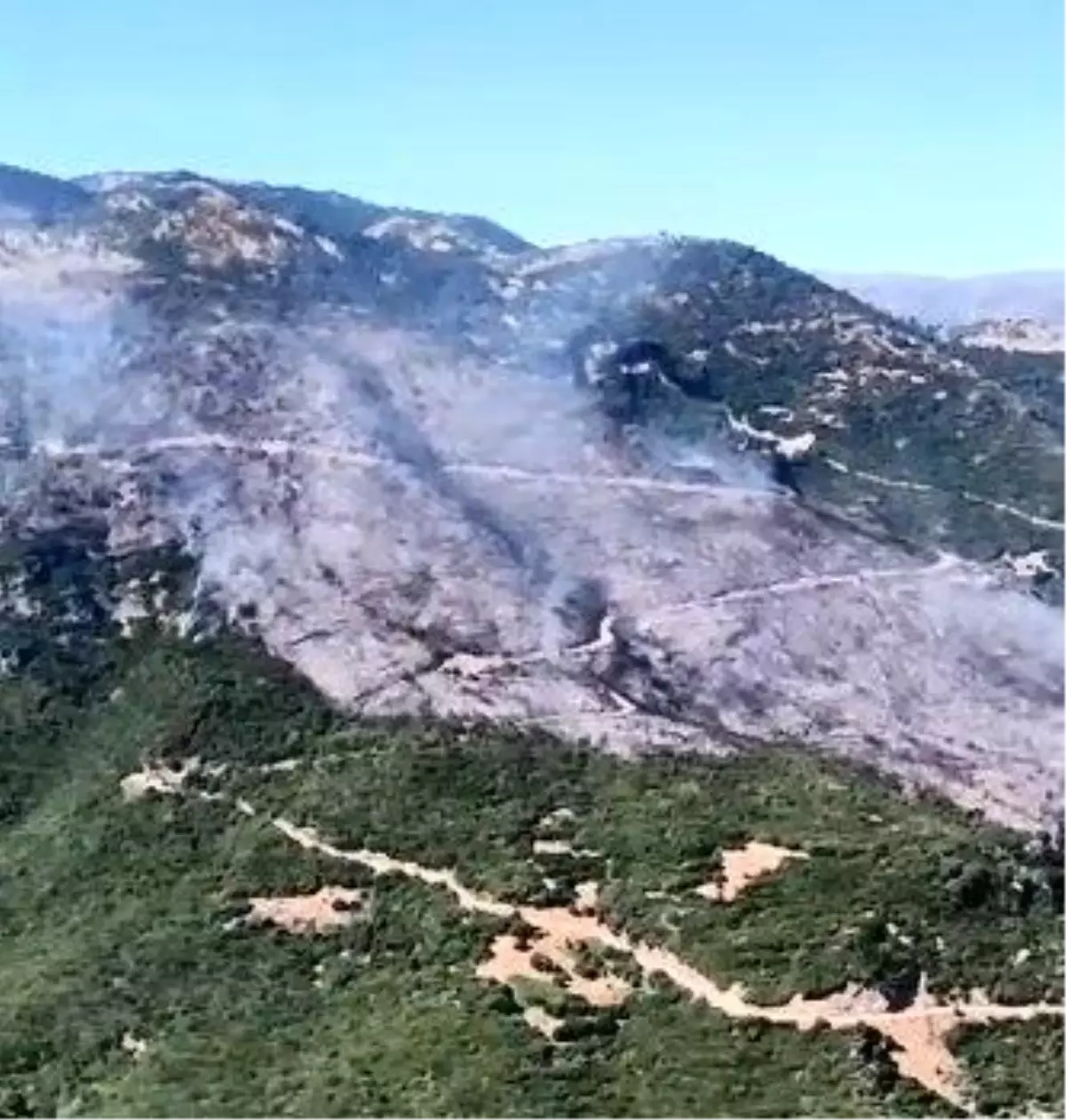 aydinda-orman-yangini-sondurme-calismalari-devam-ediyor-q6C35k1D.jpg