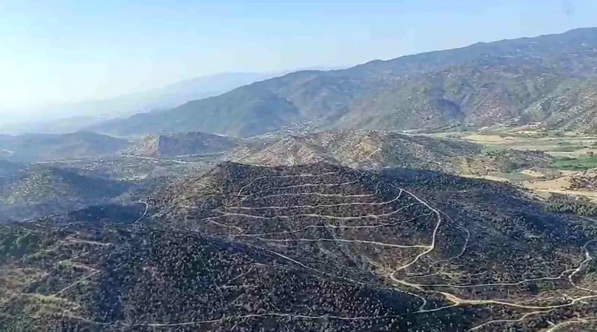 aydinda-tarim-yerinde-baslayan-yangin-denetim-altina-alindi-P5i4fWVC.jpg