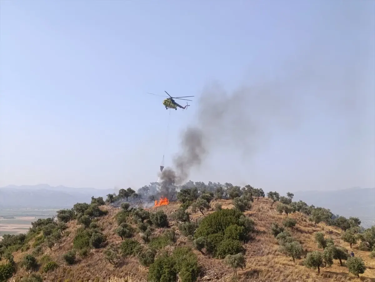 aydinda-zeytinlik-alanda-yangin-30-dekar-ziyan-gordu-eaDwFCaN.jpg
