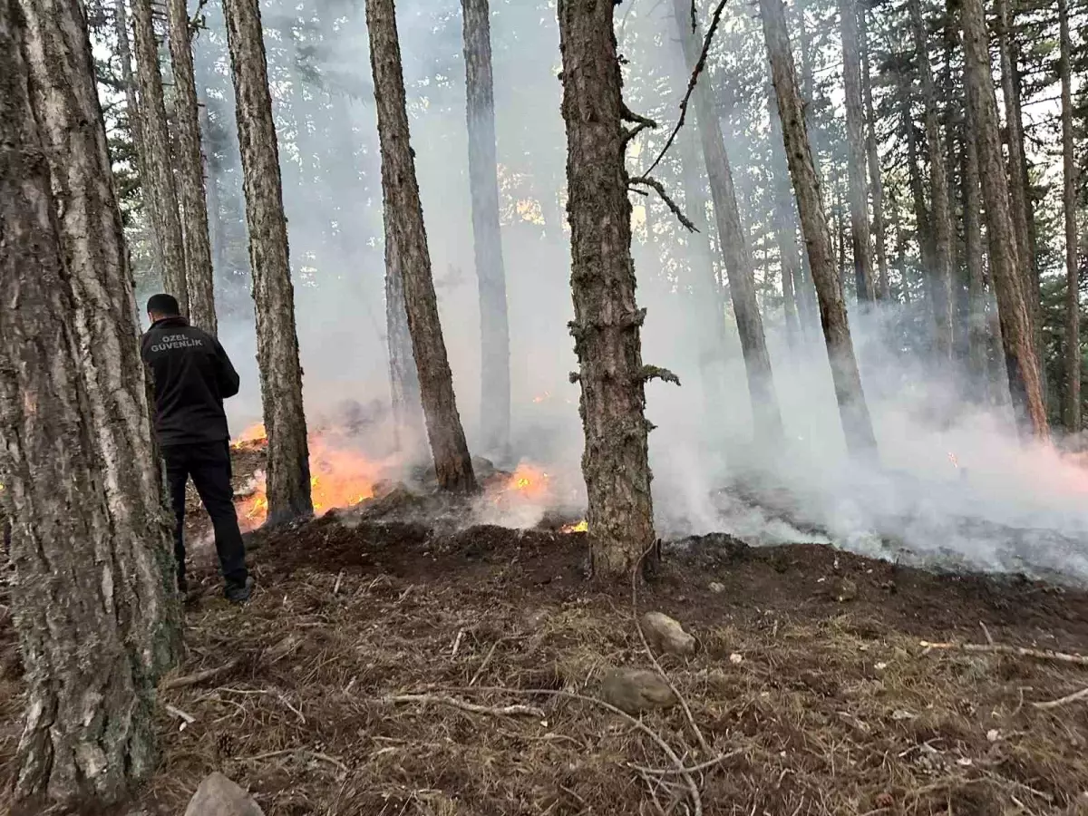 kizilcahamamda-piknik-atesinden-orman-yangini-cikti-aQR9H6rZ.jpg