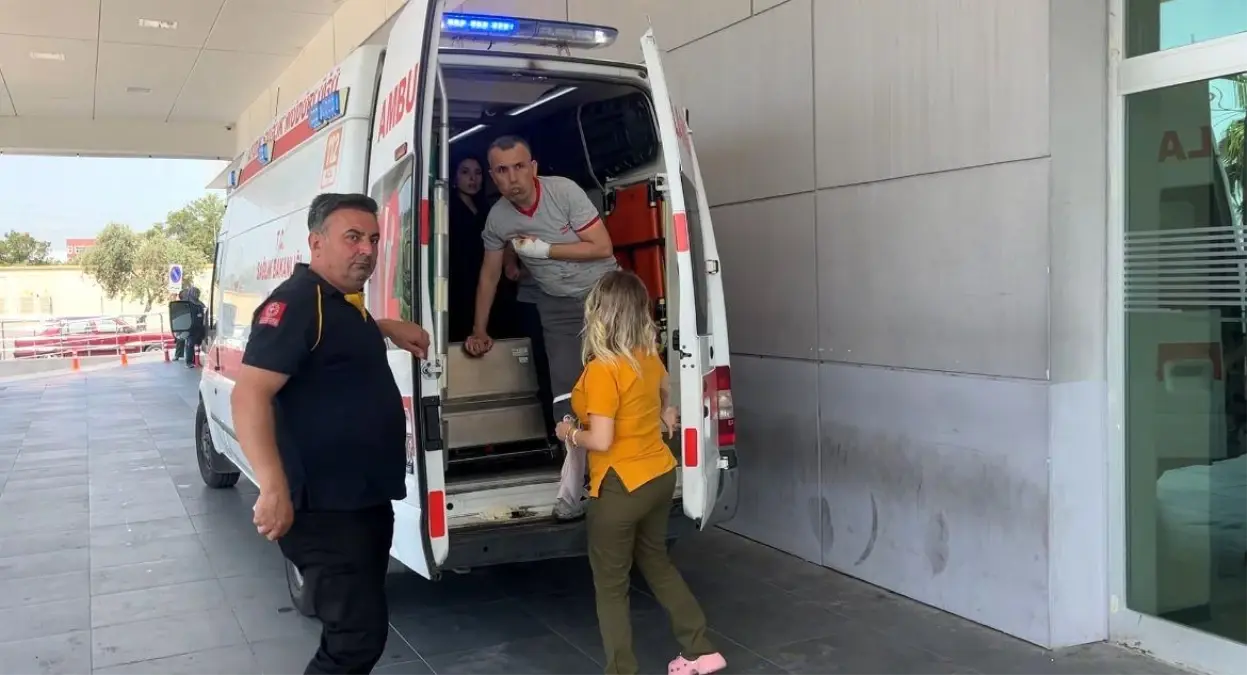 kurban-bayraminda-aydinda-acemi-kasaplar-hastanelere-akin-etti-sa6uH7JD.jpg