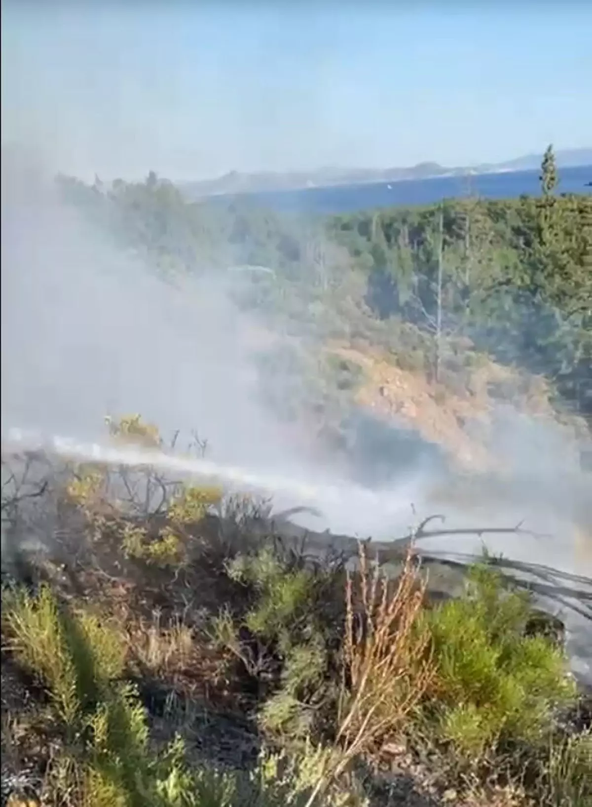mugla-ve-aydinda-uc-baska-orman-yangini-denetim-altina-alindi-9lbMsqyf.jpg