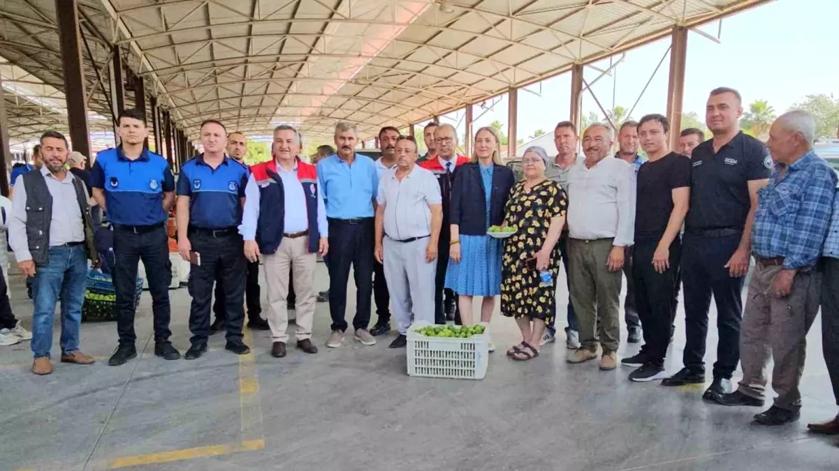 nazillide-incir-uretiminin-temel-kademesi-ilekleme-donemi-basladi-PqAeSvHj.jpg