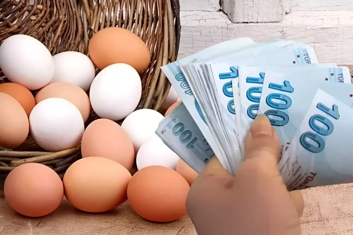 yumurtacilar-yumurta-fiyatlarindaki-artisi-abd-ruyasina-bagladi-M472jJfB.jpg