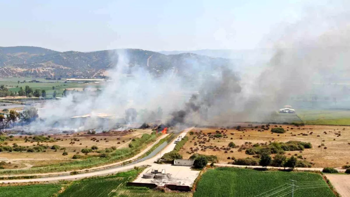 aydinda-ciftligi-tehdit-eden-yangin-denetim-altina-alindi-m9cxACDT.jpg