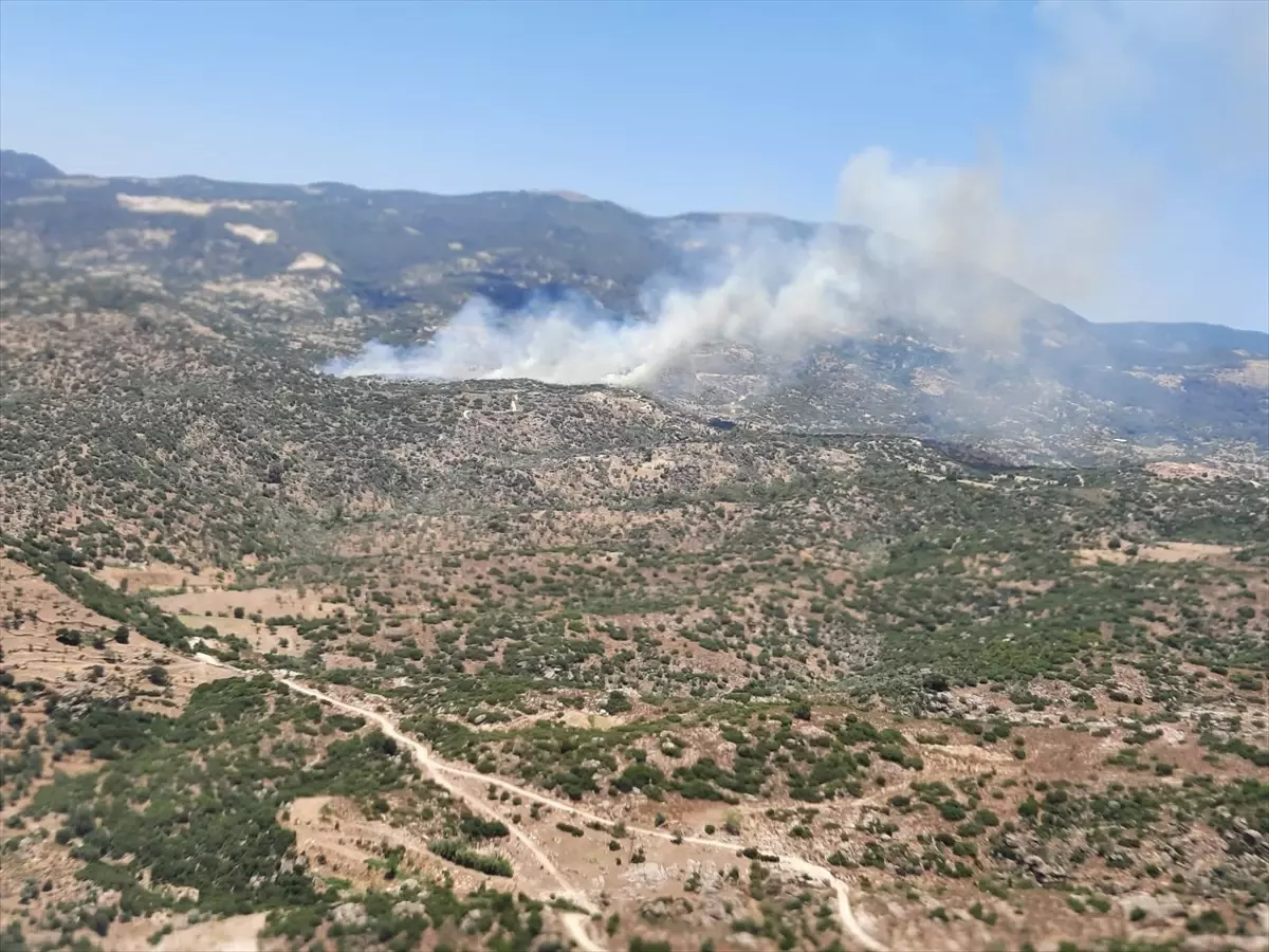 aydinda-yangina-hava-ve-karadan-mudahale-DA7JjJfj.jpg