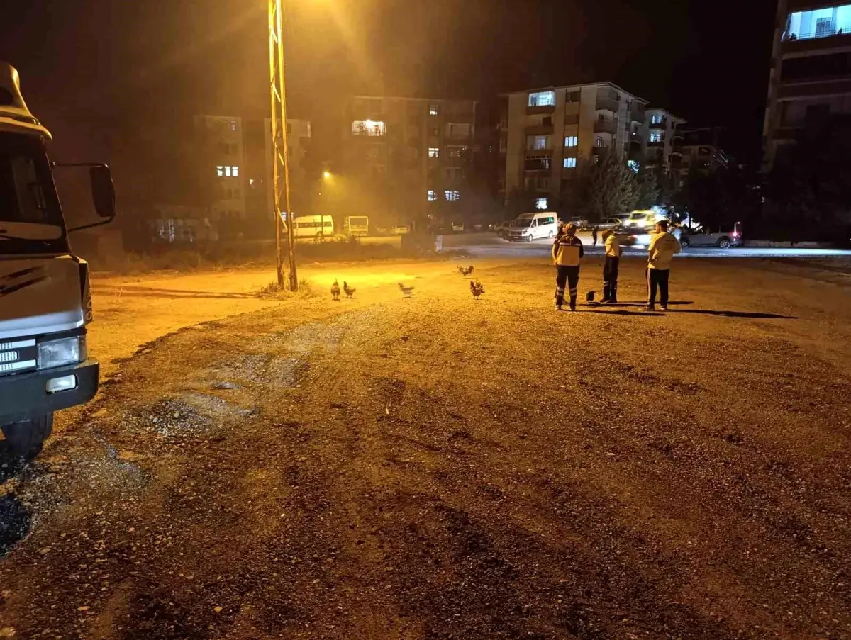 beypazarinda-kumeste-cikan-yanginda-41-tavuk-telef-oldu-ekQYERAM.jpg