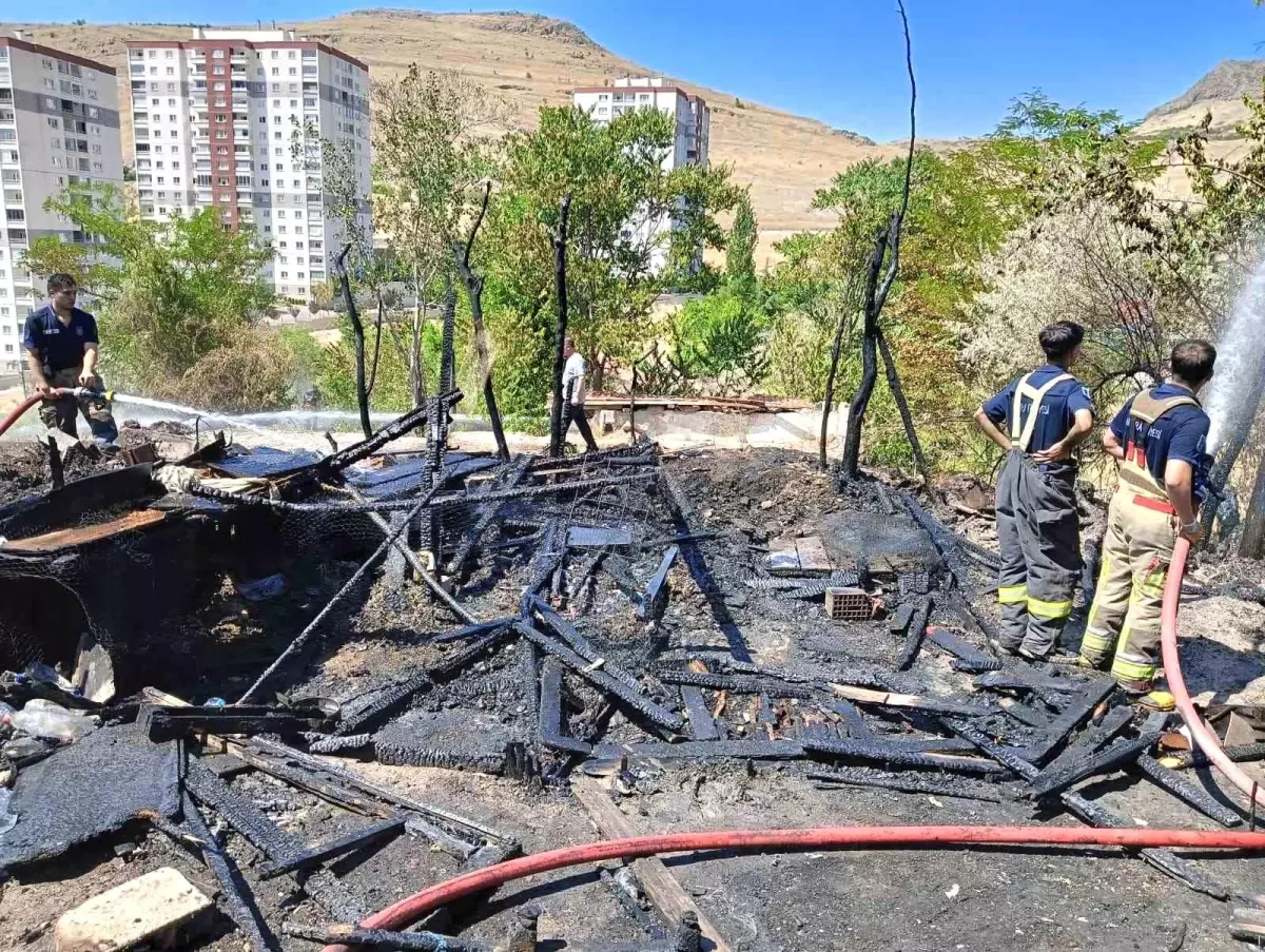 ankarada-yangin-33-kanatli-hayvanin-telef-olmasina-neden-oldu-rt4XRsF1.jpg