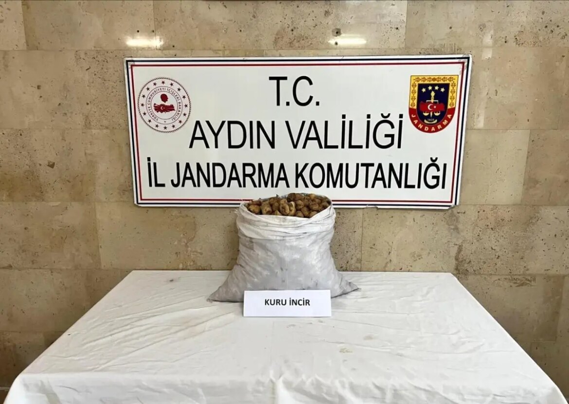 aydinda-motosikletle-50-kilo-incir-calan-sahis-yakalandi-9a1qUi3E.jpg