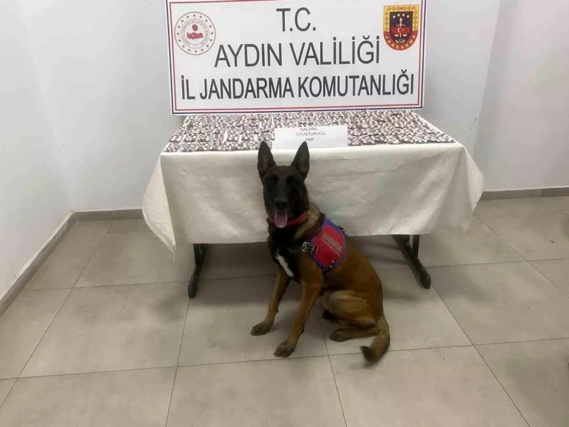 aydinda-uyusturucu-operasyonu-1383-hap-ele-gecirildi-Itzx3SNd.jpg