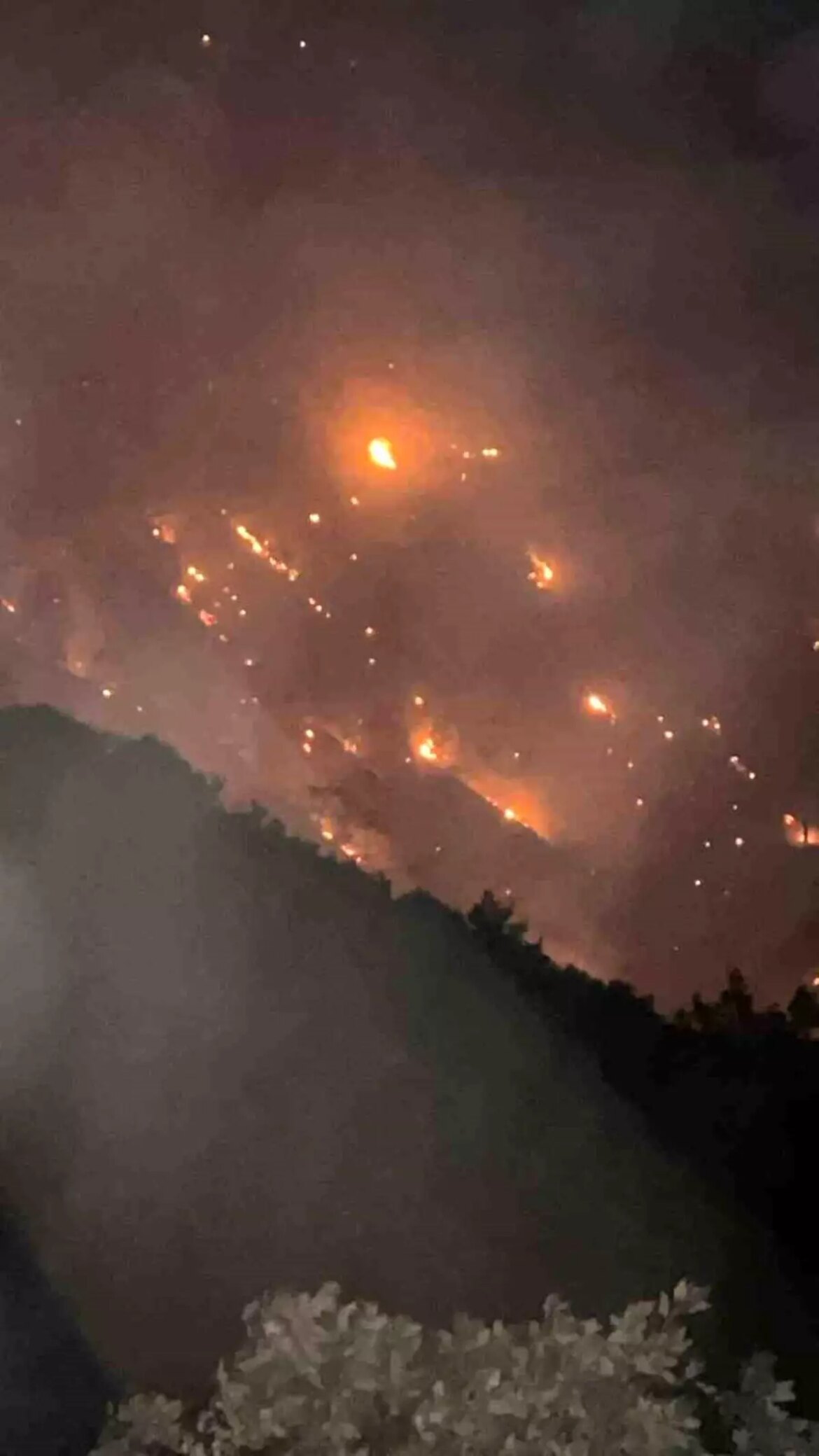 denizlide-orman-yangini-aydina-sicradi-L2KFT5gf.jpg