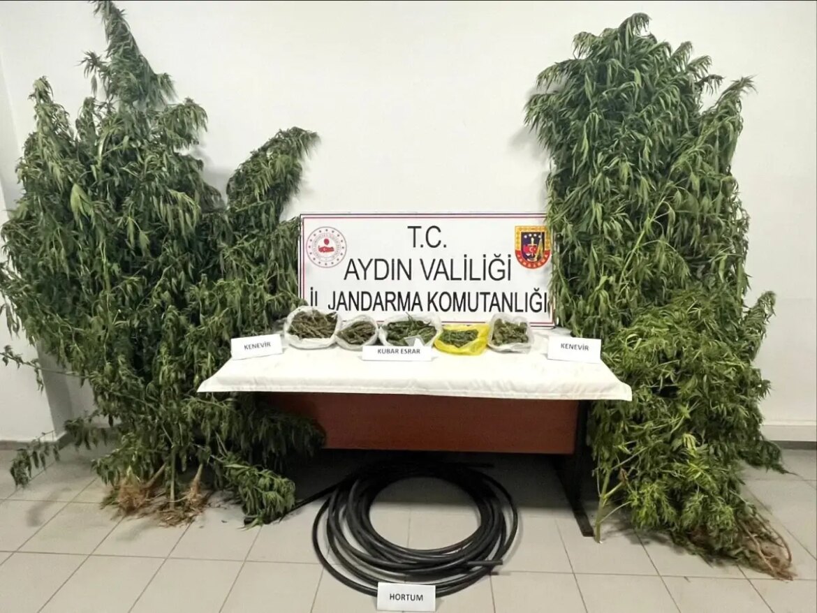 koskte-kestane-bahcesinde-kenevir-yetistiren-kuskulu-yakalandi-3gNUdg2D.jpg