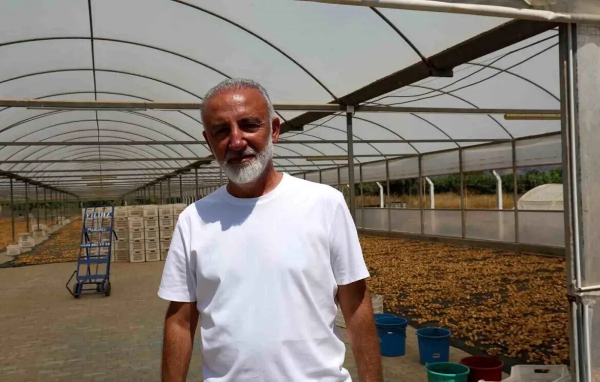 aydin-incir-ureticileri-birligi-kurma-hazirliginda-F6MbStWt.jpg