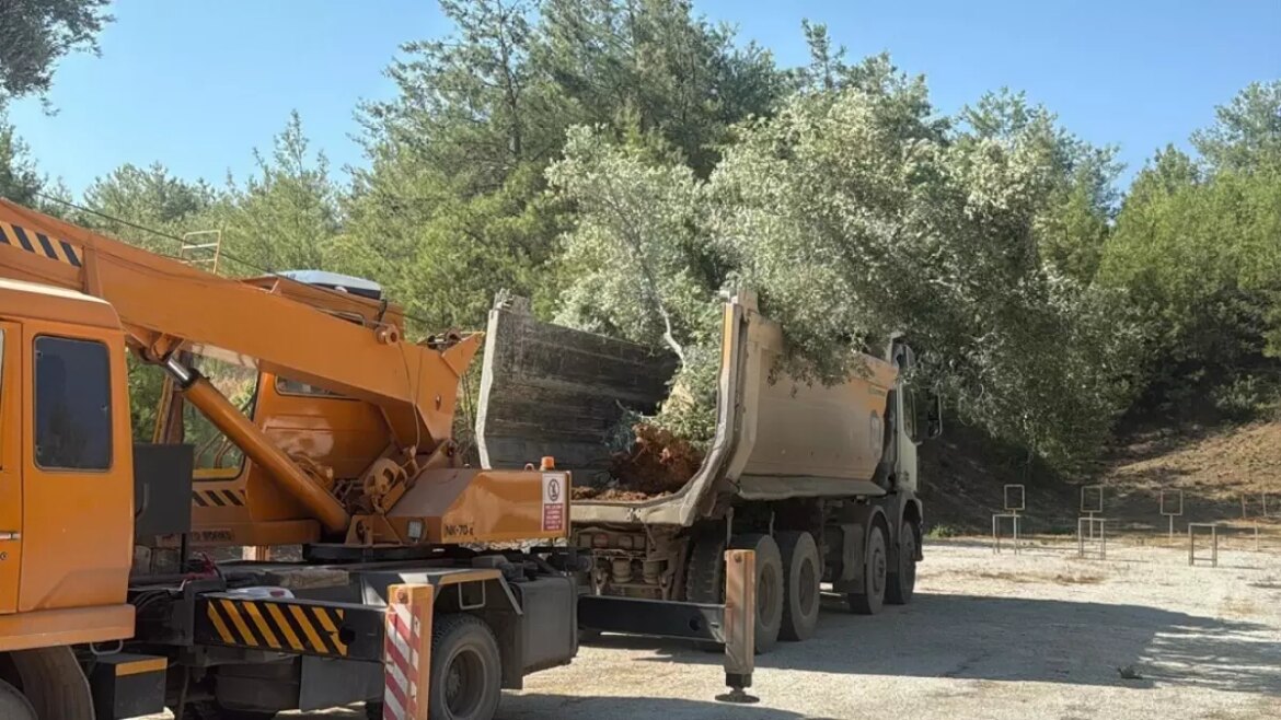 muglada-zeytin-agaclari-bilimsel-sistemlerle-tasiniyor-37s9dmJj.jpg