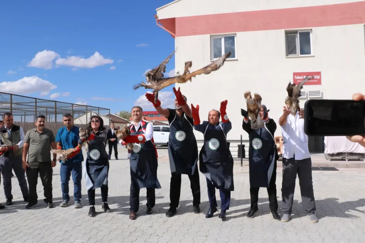 tedavi-edilen-yirtici-kuslar-tabiata-salindi-mQlqNy3L.jpg